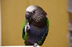 右足かみかみ♪