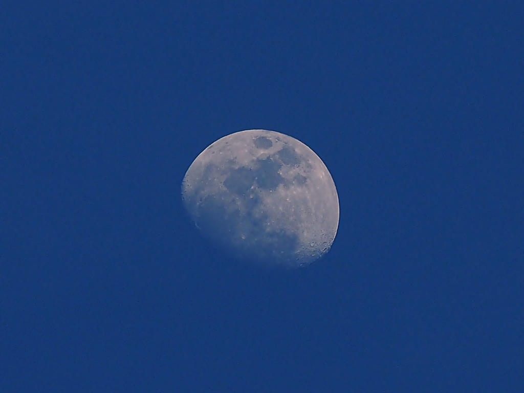 The MOON・・・　　200mmデジタルテレコンでまさかの写り。