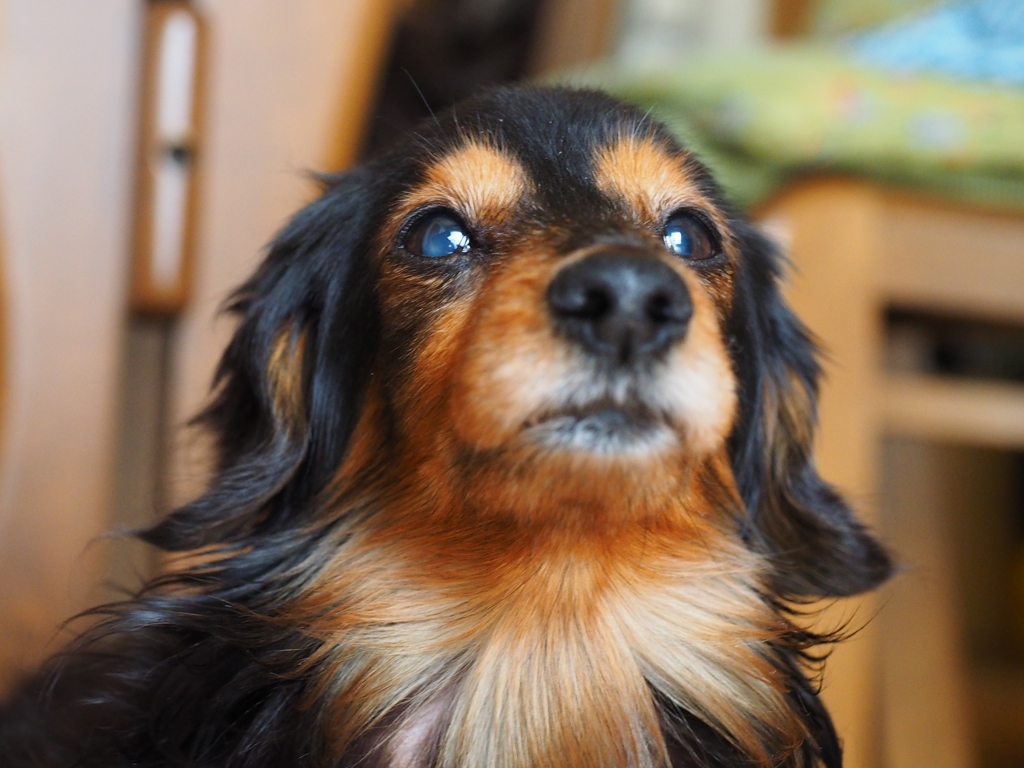 愛しいばあちゃん^^