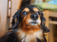 愛しいばあちゃん^^