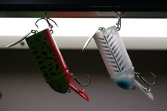 ビッグバド　来年までお休み。