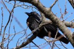 眼が可愛いと思うんですが。