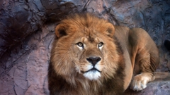 凛として帝王。