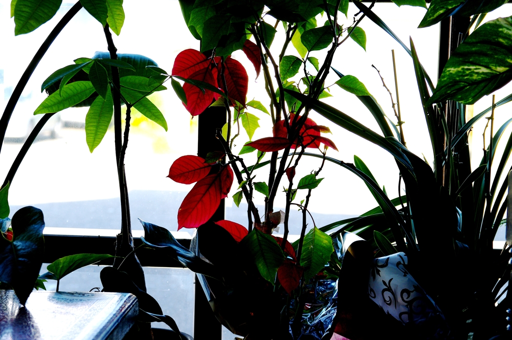 ボタニカルステンドガラス