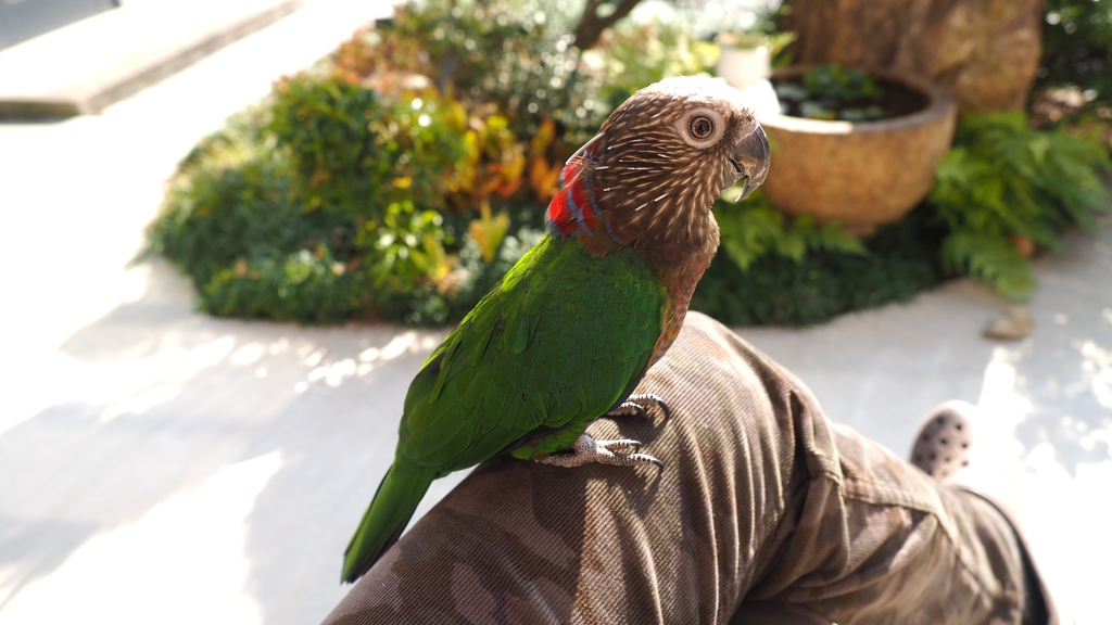 目がデカい。⇒超視力(笑)