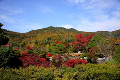 忍野八海