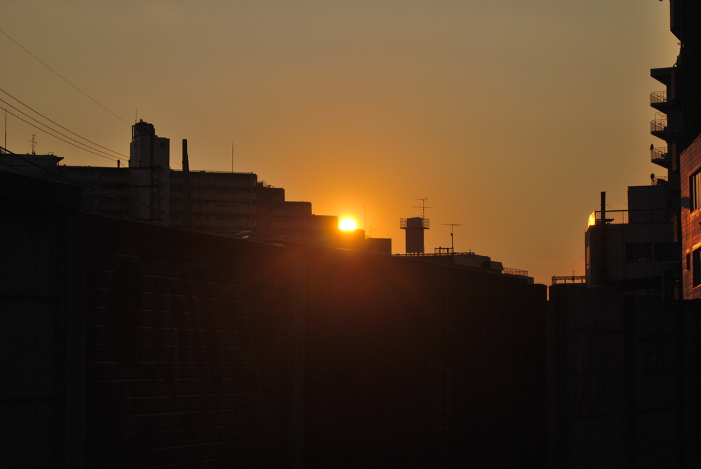 夕日