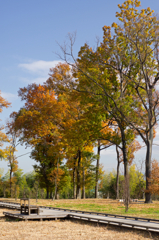 Autumn of a park