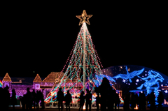 Illuminations