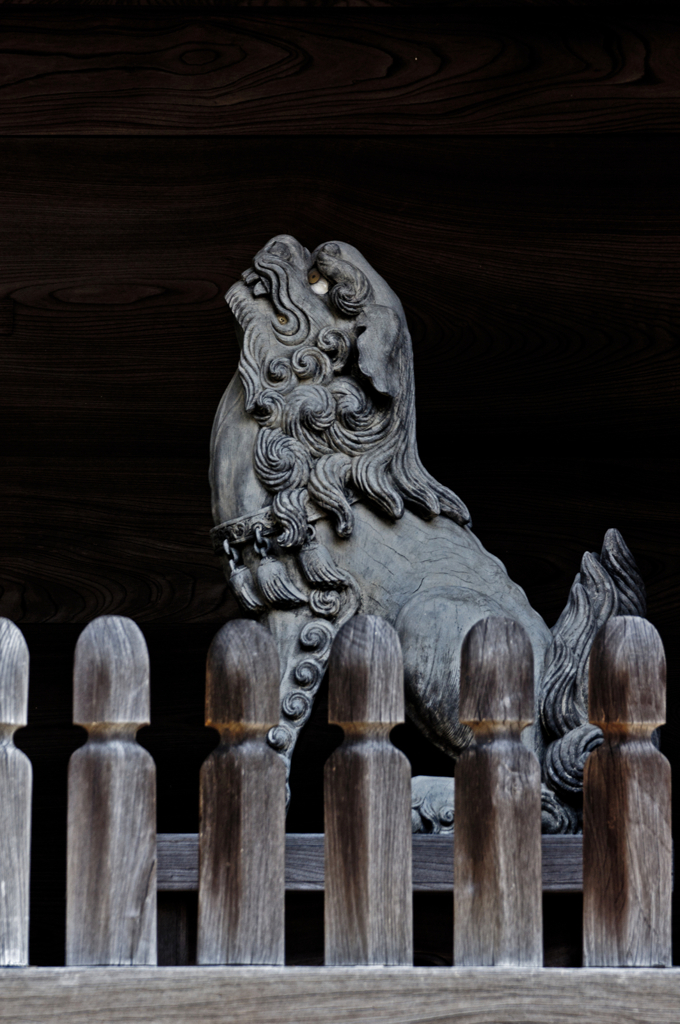 Komainu (狛犬)