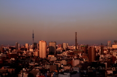 東京