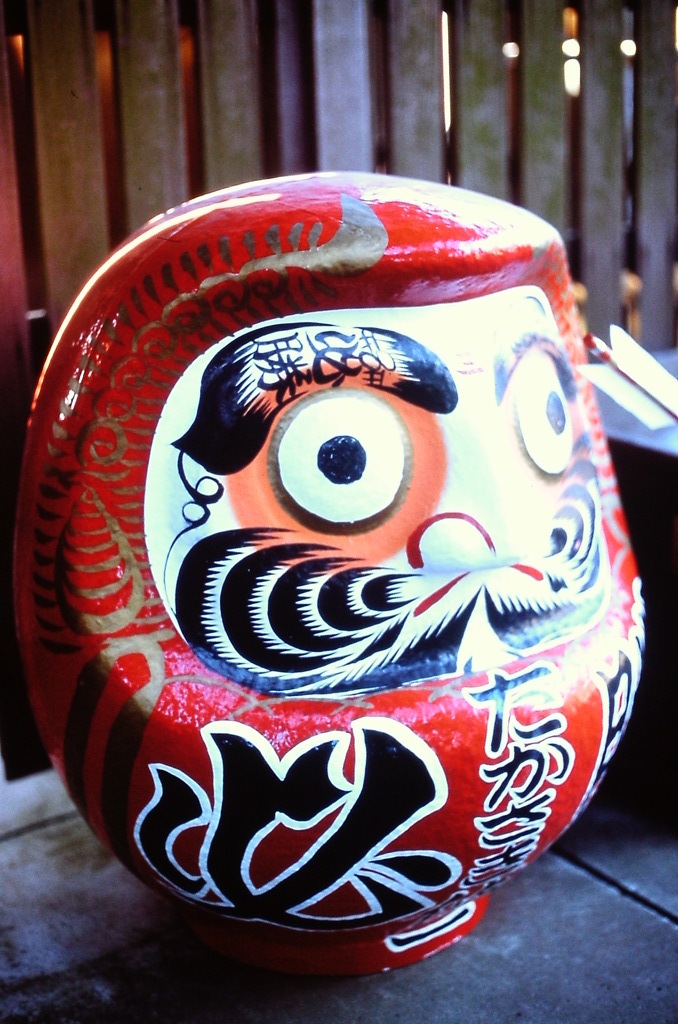 IMAG0041