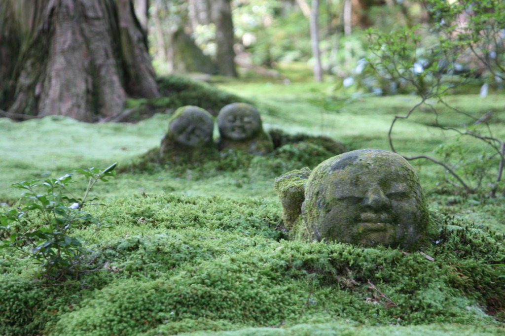 三千院のお地蔵さん①　