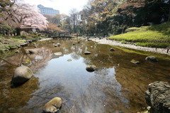 小石川後楽園にて④