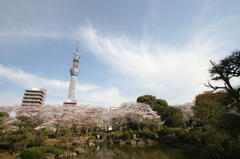 墨田公園にて①