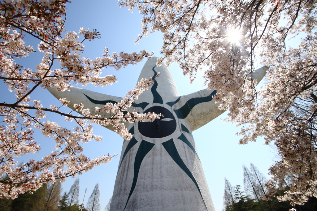 太陽の塔③