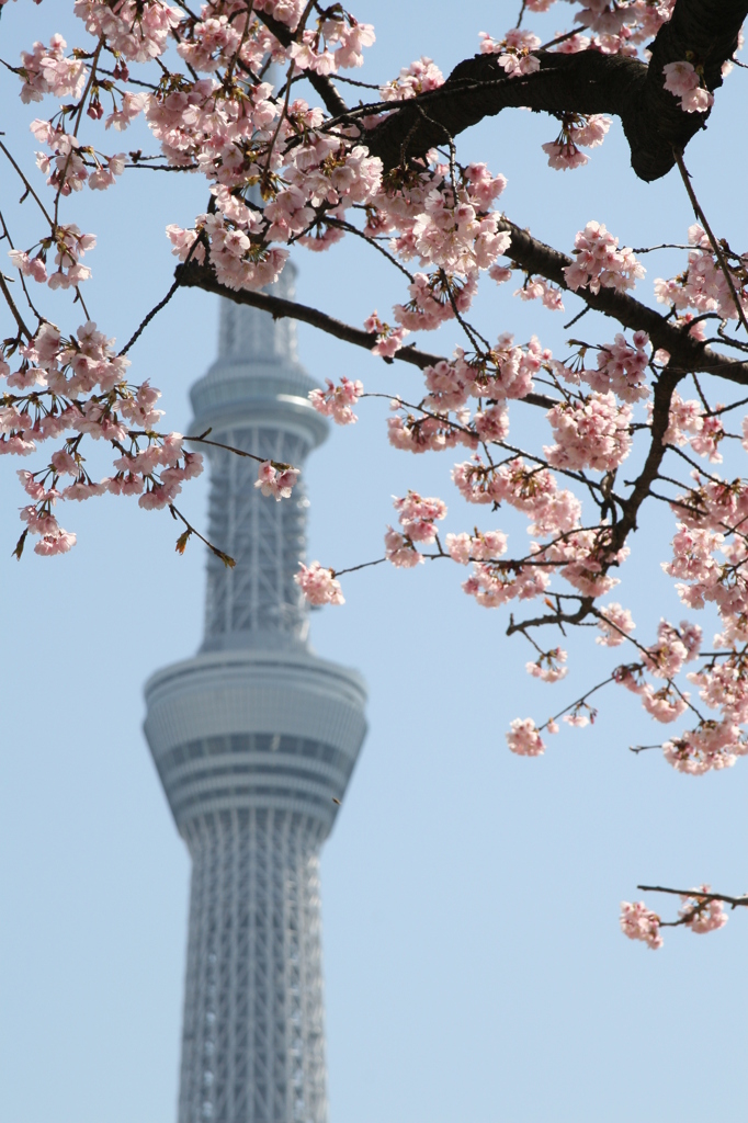 墨田公園にて①