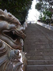 愛宕神社の「世の石段」