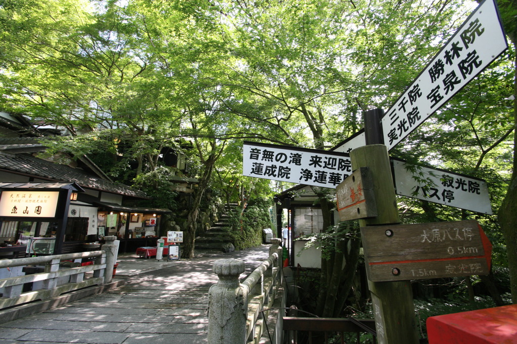 三千院の参道①