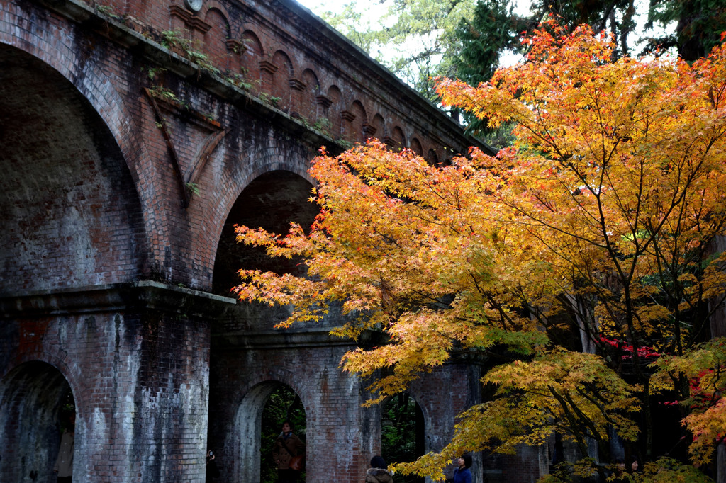 南禅寺の紅葉