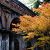 南禅寺の紅葉