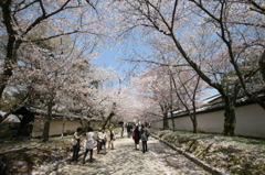 醍醐寺参道①