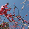 不老園にて①