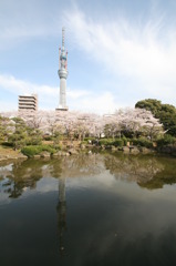 墨田公園にて②