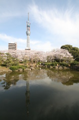 墨田公園にて②