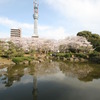 墨田公園にて②