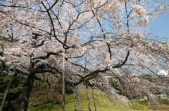 小石川後楽園にて⑩