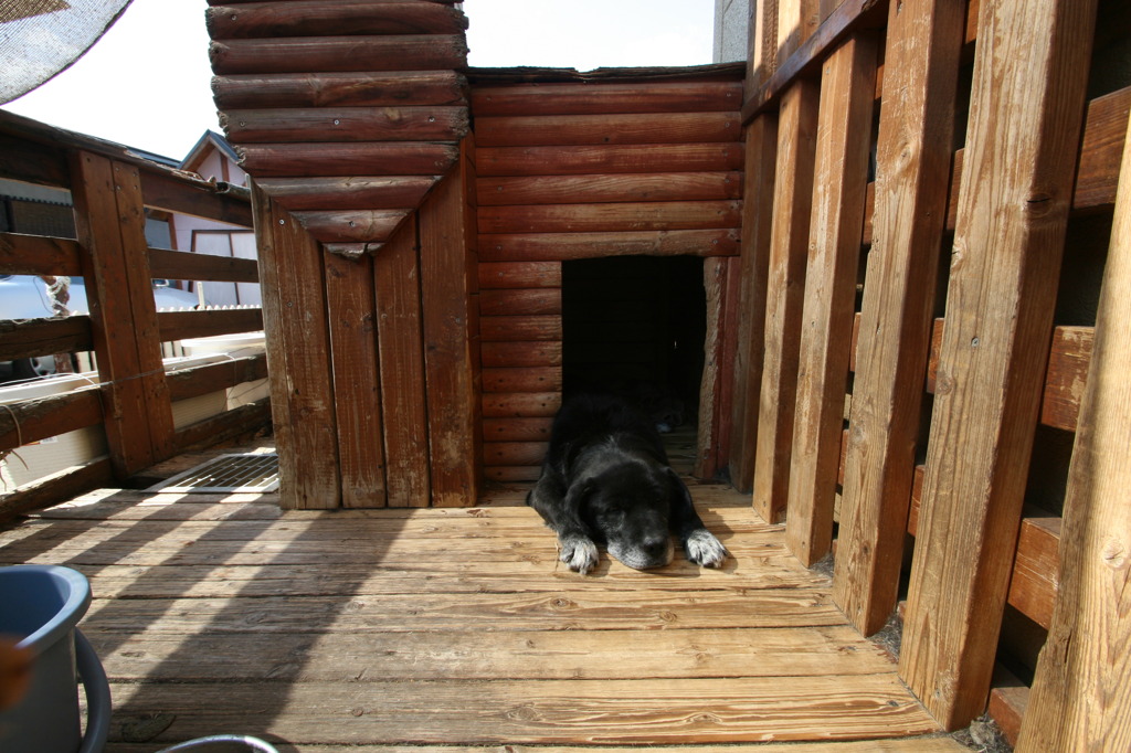 らっきーヽ(´▽｀)/15