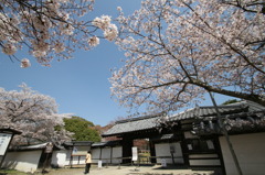 醍醐寺③