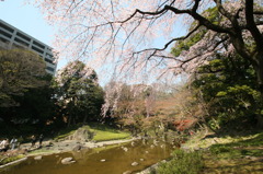 小石川後楽園にて①