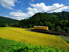 ローカル線の旅