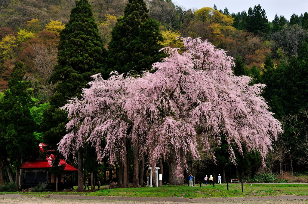 200年