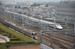 The Shinkansen vs. the train
