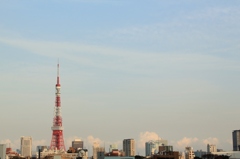 お気に入りの景色