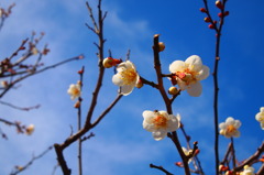 青空