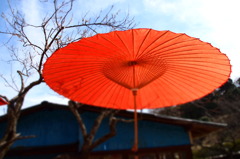 和みの傘