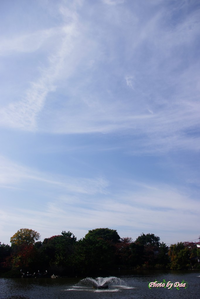 今日のお天気