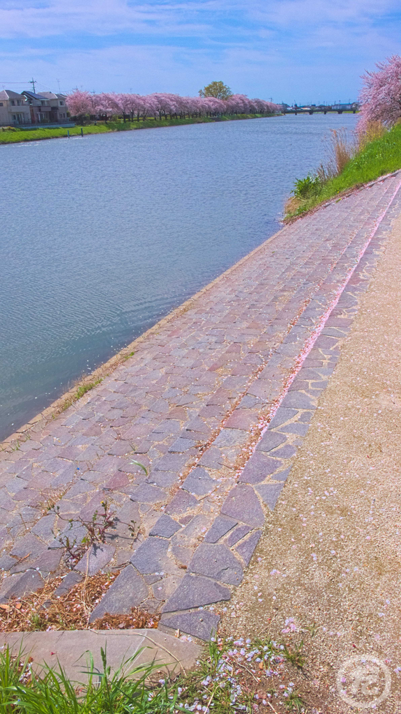 船が付くとこところ・・・