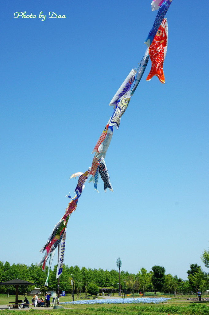 空に舞う