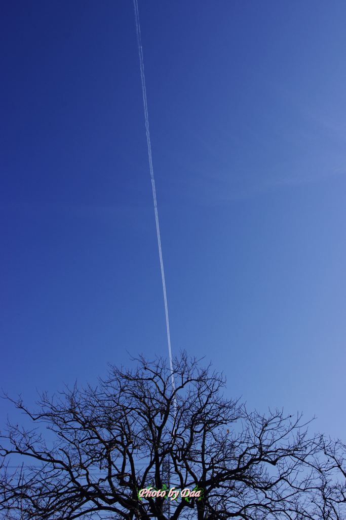 今日のお天気もしくは飛行機雲