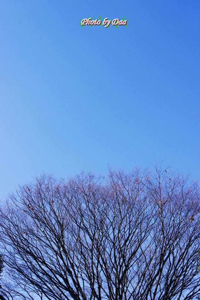 今日のお天気