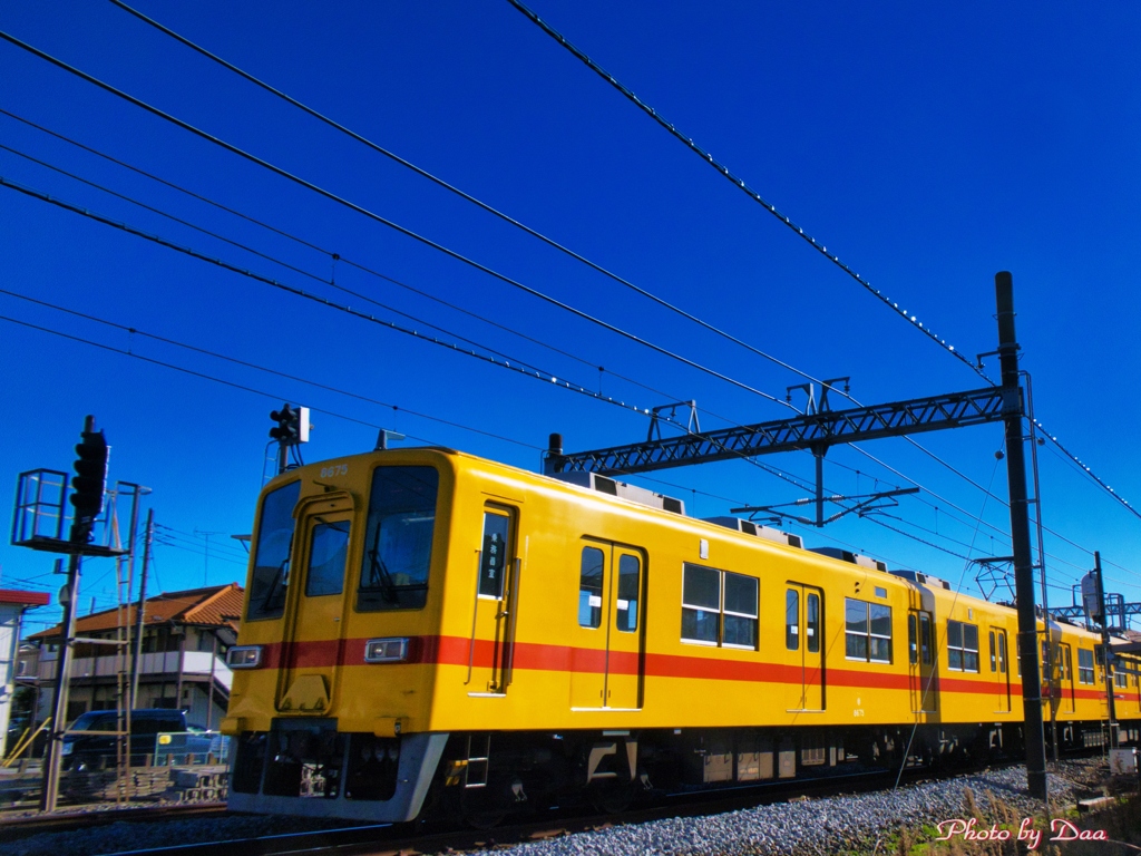 幸せの黄色い電車