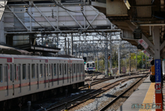 遠ざかる東武8000系