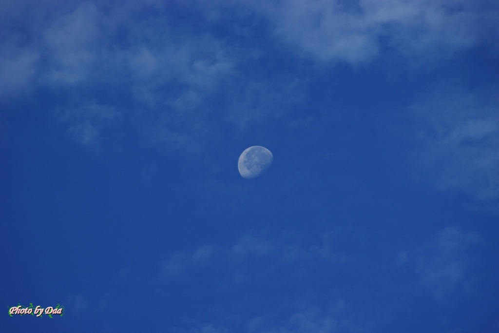 ７月１４日朝の月（その１）