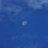 ７月１４日朝の月（その１）