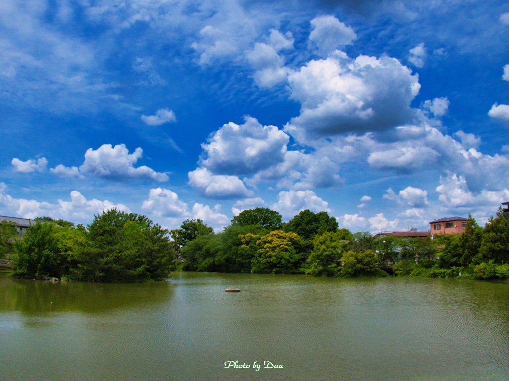 春と夏の間の空